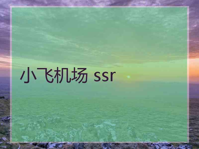 小飞机场 ssr