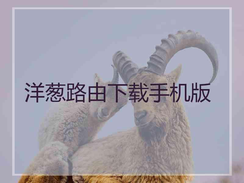 洋葱路由下载手机版