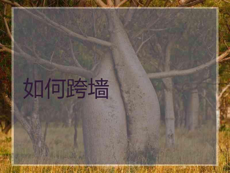 如何跨墙