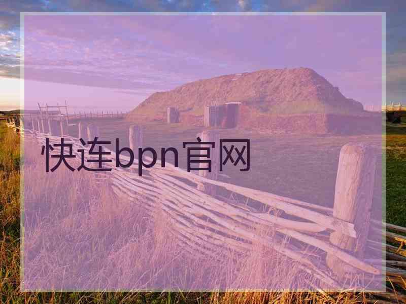 快连bpn官网