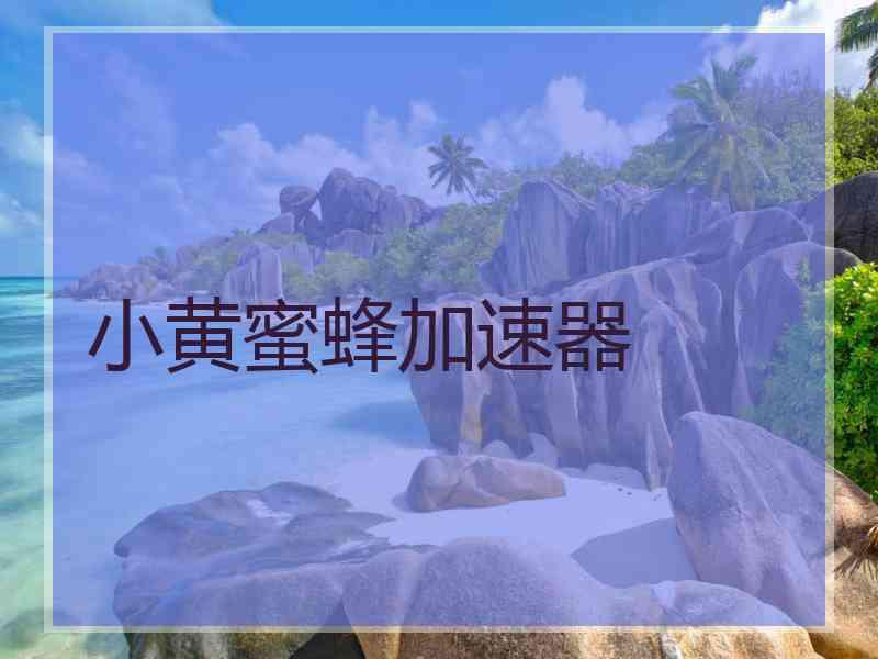 小黄蜜蜂加速器