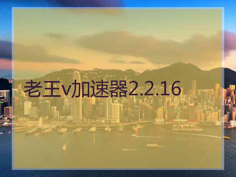 老王v加速器2.2.16