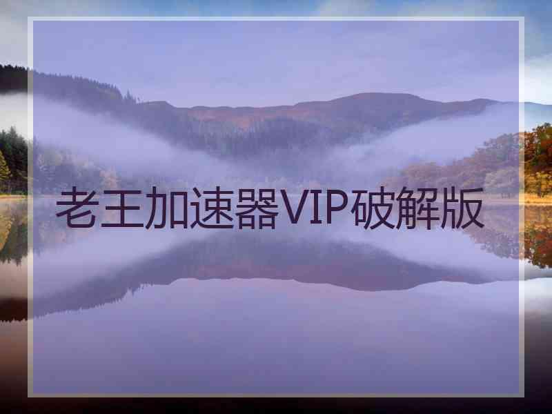 老王加速器VIP破解版