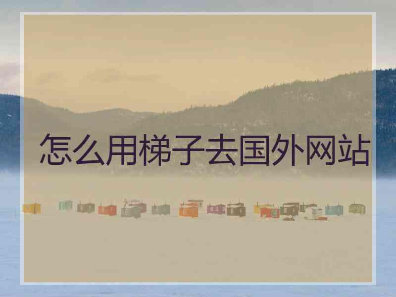 怎么用梯子去国外网站