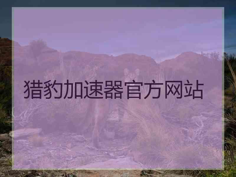 猎豹加速器官方网站