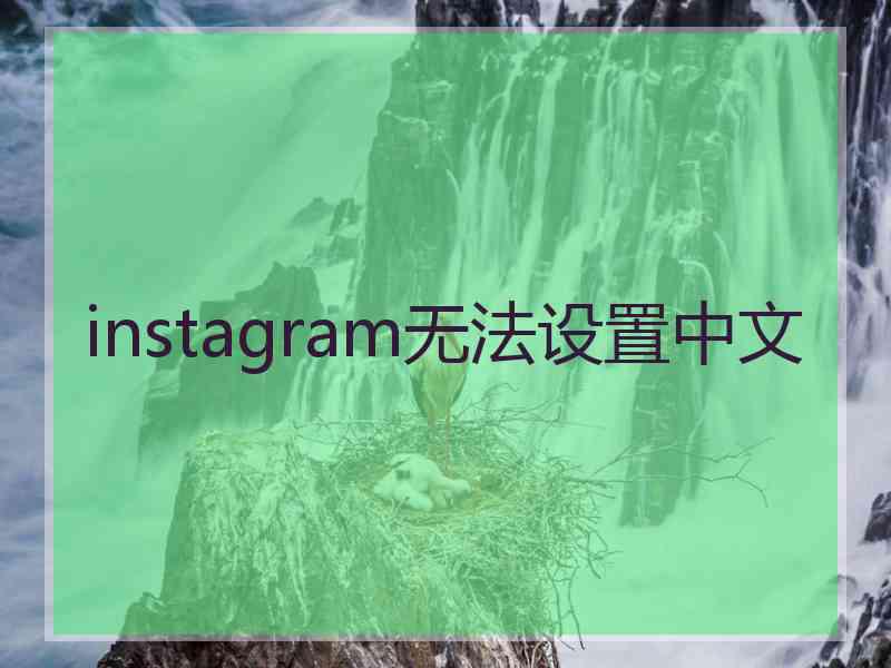 instagram无法设置中文