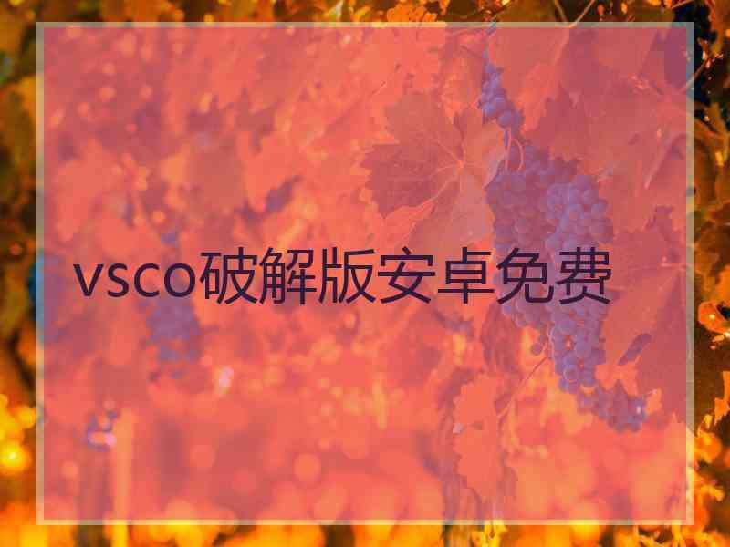 vsco破解版安卓免费