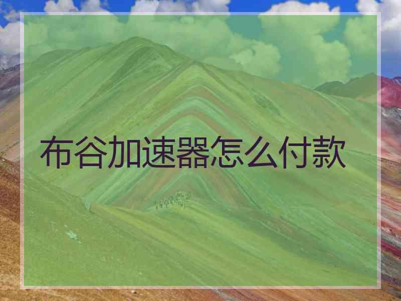 布谷加速器怎么付款
