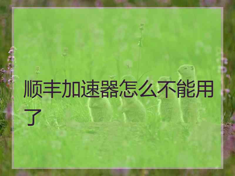 顺丰加速器怎么不能用了