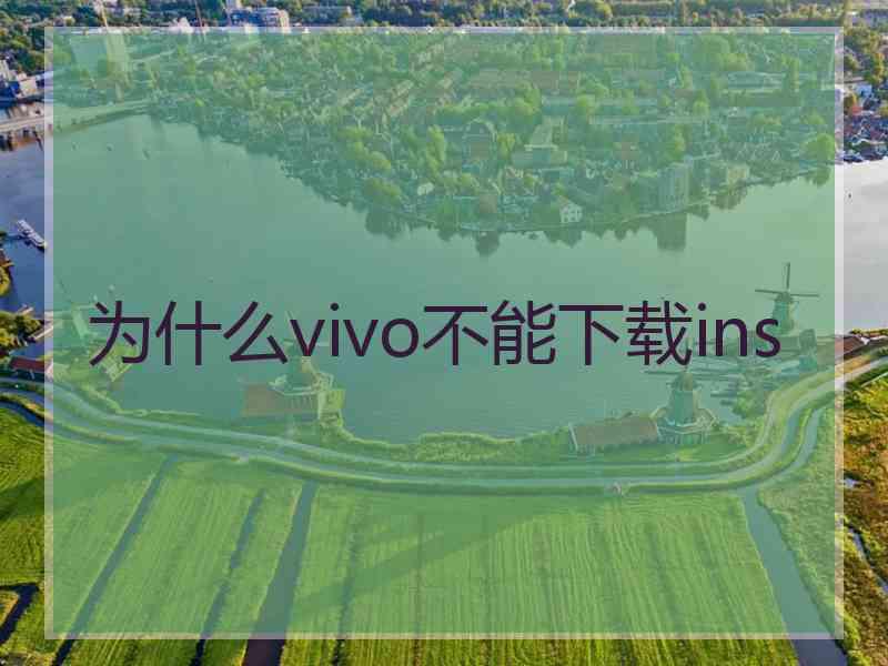 为什么vivo不能下载ins