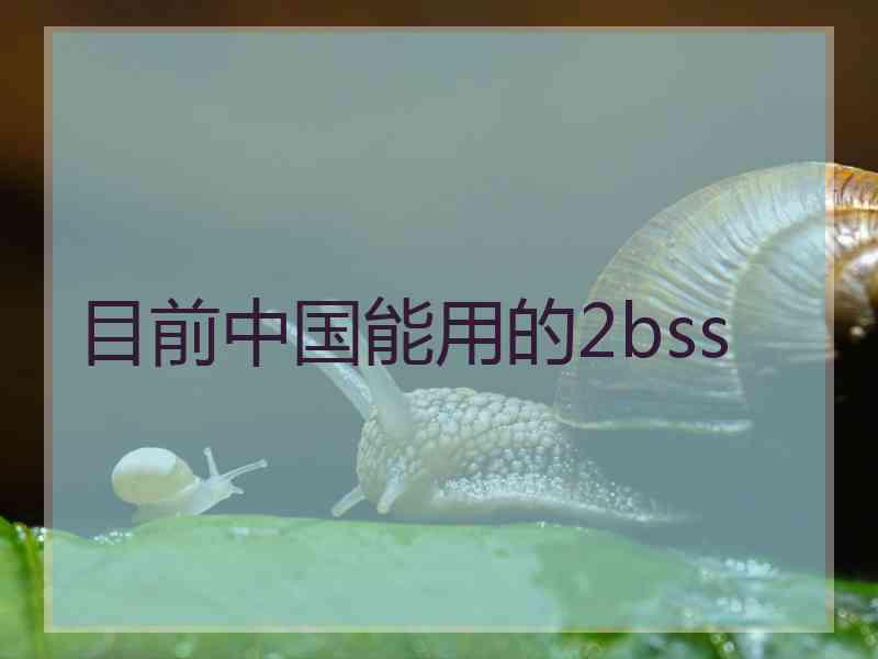 目前中国能用的2bss