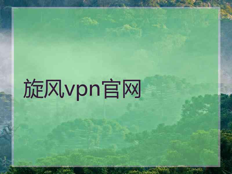 旋风vpn官网
