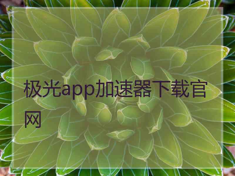 极光app加速器下载官网