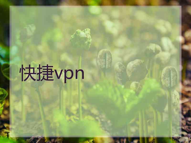 快捷vpn