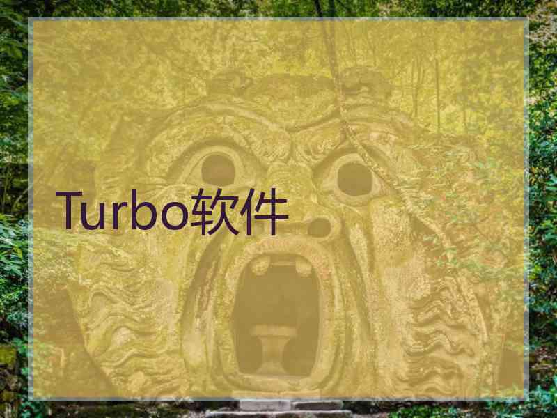 Turbo软件