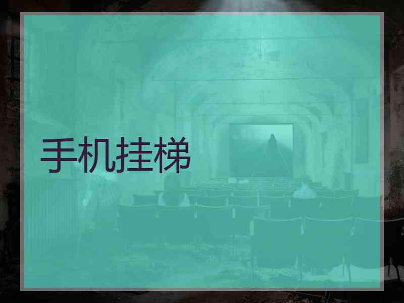 手机挂梯