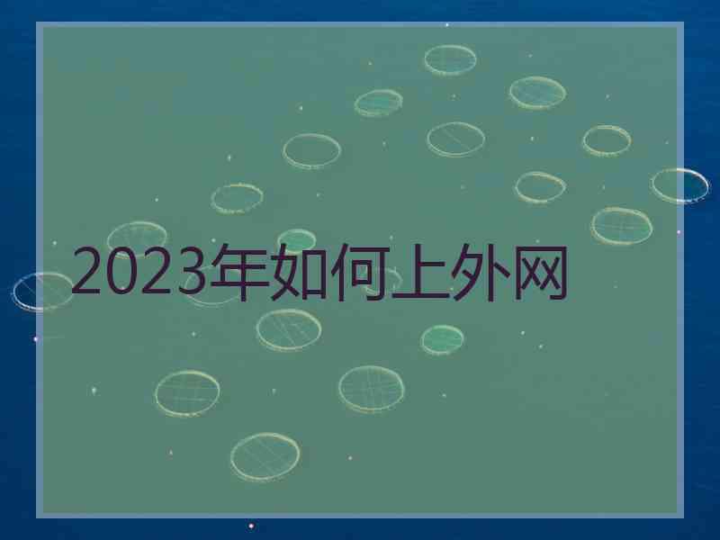 2023年如何上外网