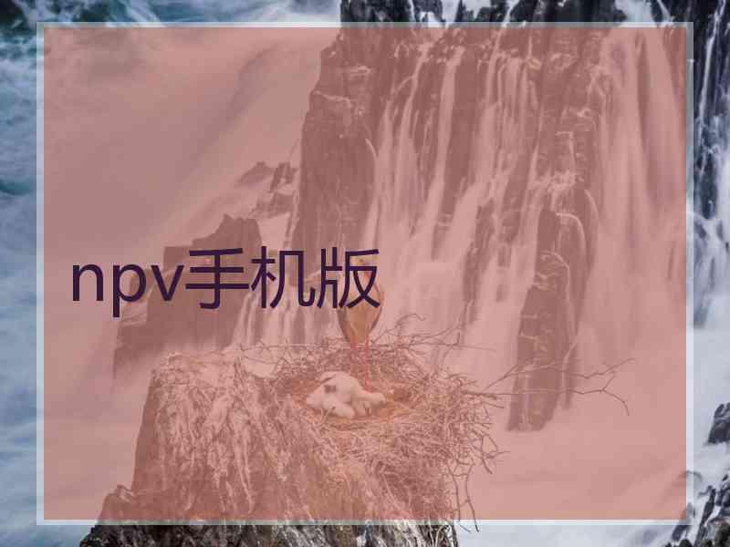 npv手机版