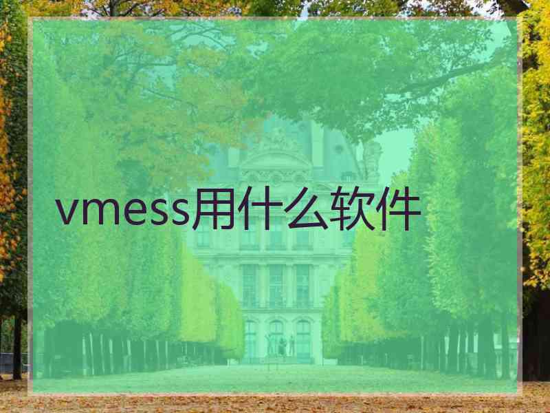 vmess用什么软件