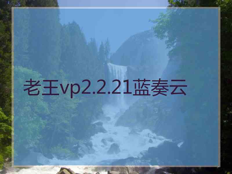 老王vp2.2.21蓝奏云