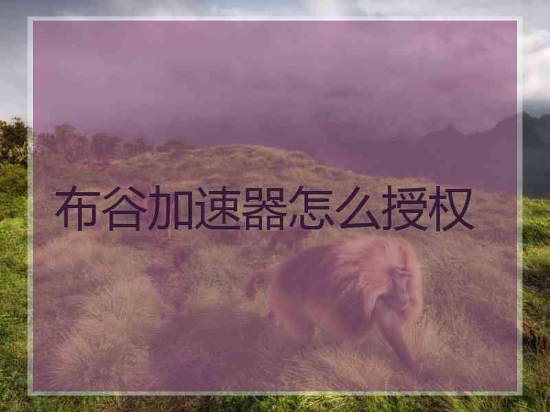 布谷加速器怎么授权