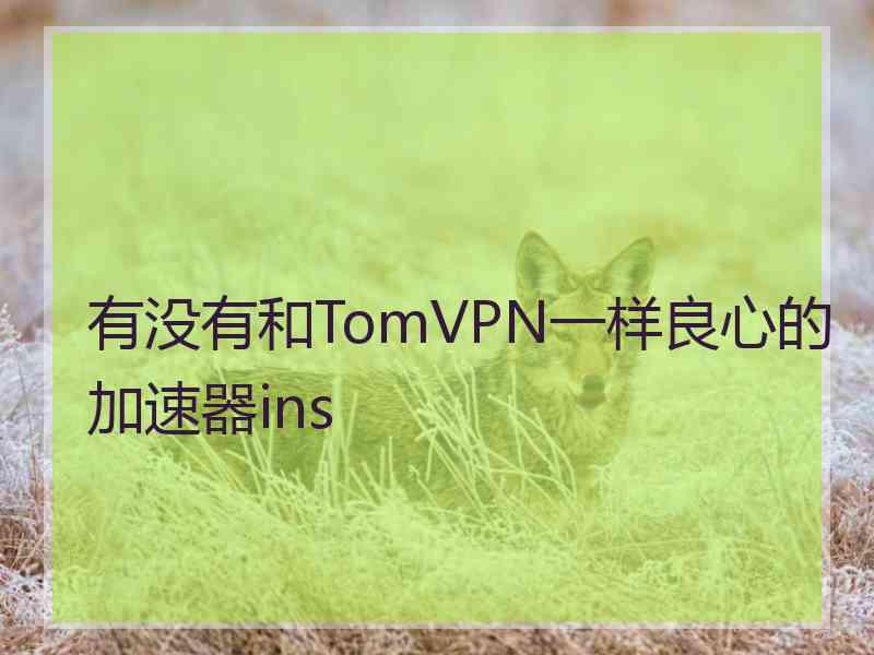 有没有和TomVPN一样良心的加速器ins