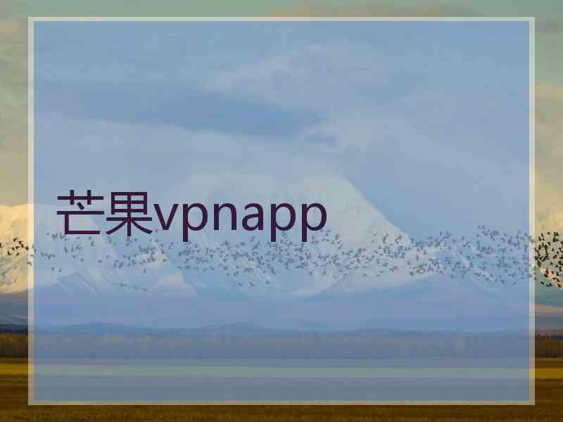 芒果vpnapp