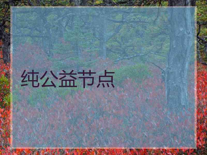 纯公益节点