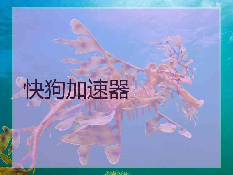 快狗加速器