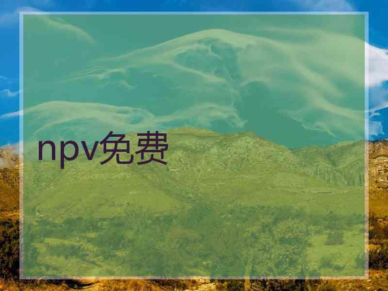 npv免费