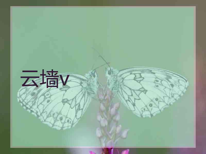 云墙v