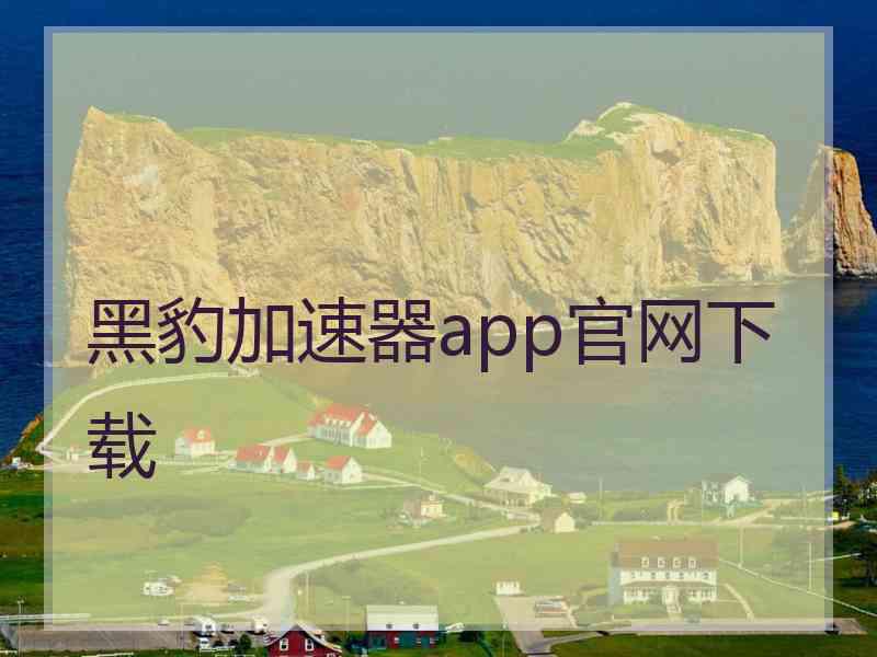 黑豹加速器app官网下载