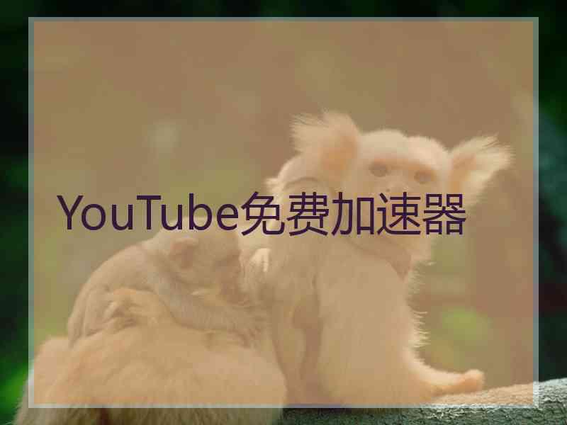 YouTube免费加速器