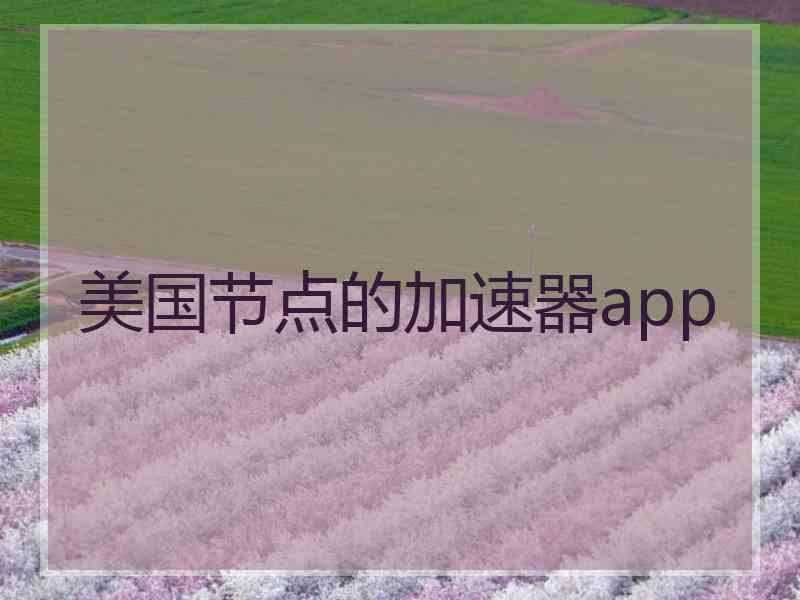 美国节点的加速器app