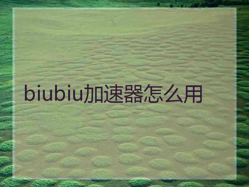 biubiu加速器怎么用