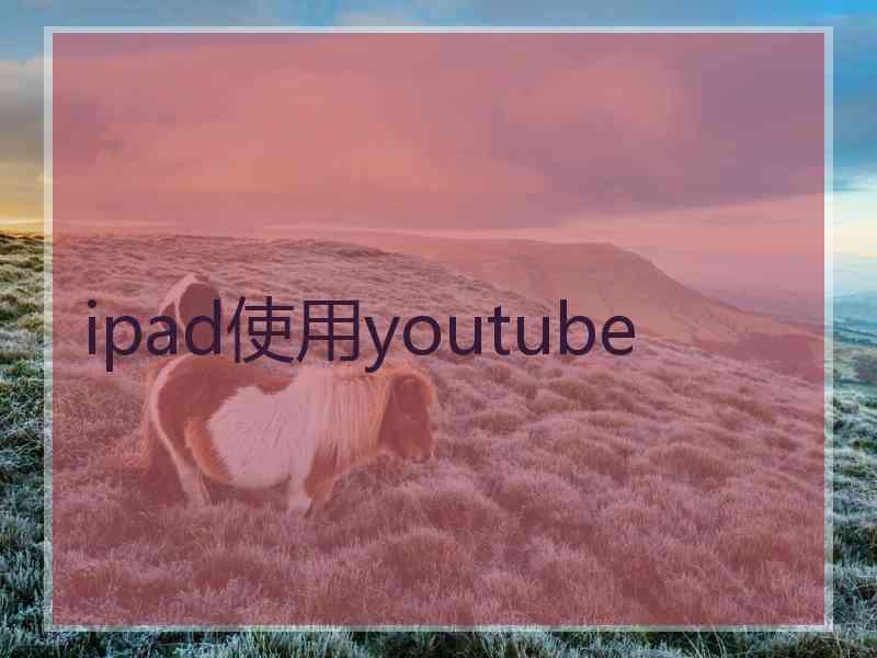 ipad使用youtube