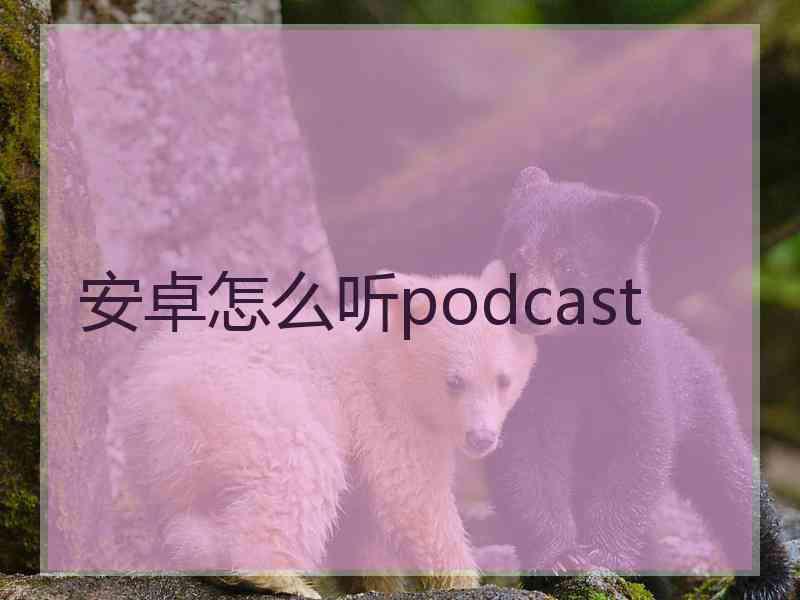 安卓怎么听podcast