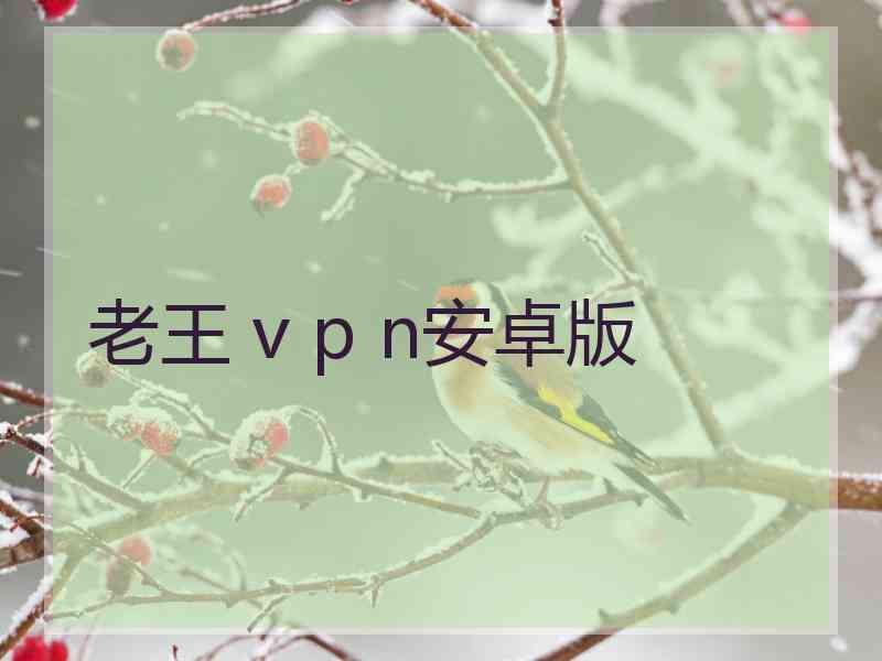 老王 v p n安卓版