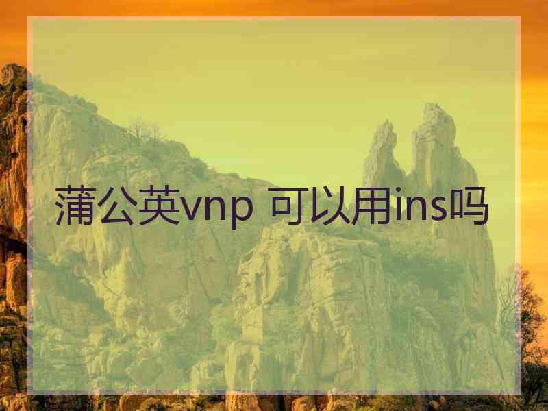 蒲公英vnp 可以用ins吗