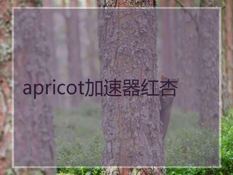 apricot加速器红杏