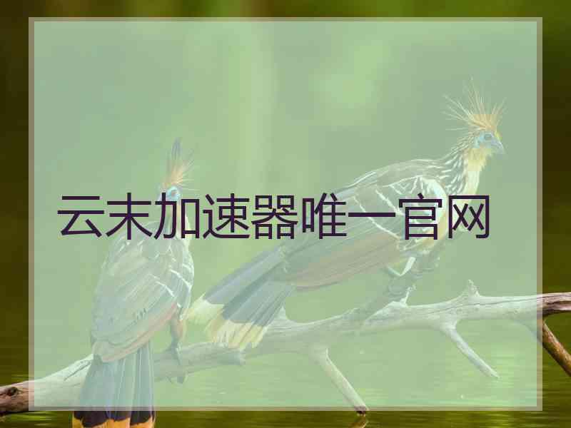云末加速器唯一官网