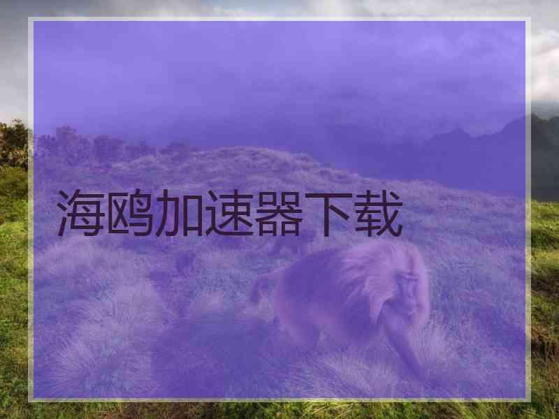 海鸥加速器下载