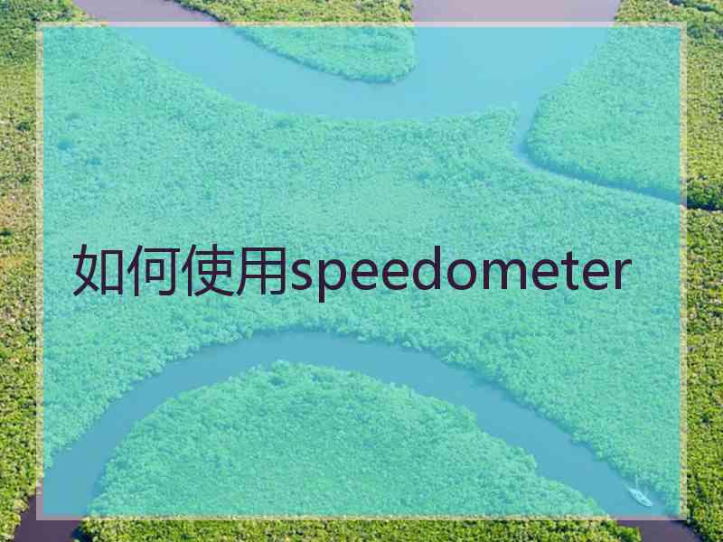 如何使用speedometer