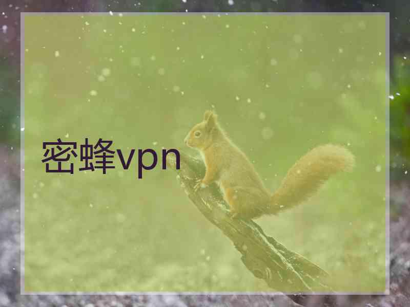 密蜂vpn