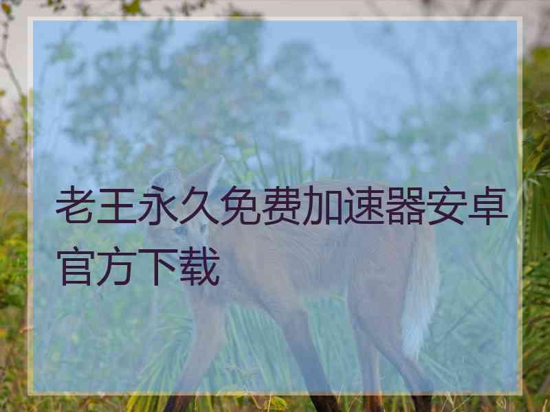 老王永久免费加速器安卓官方下载