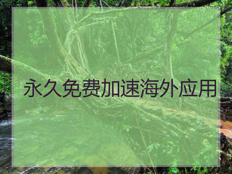 永久免费加速海外应用