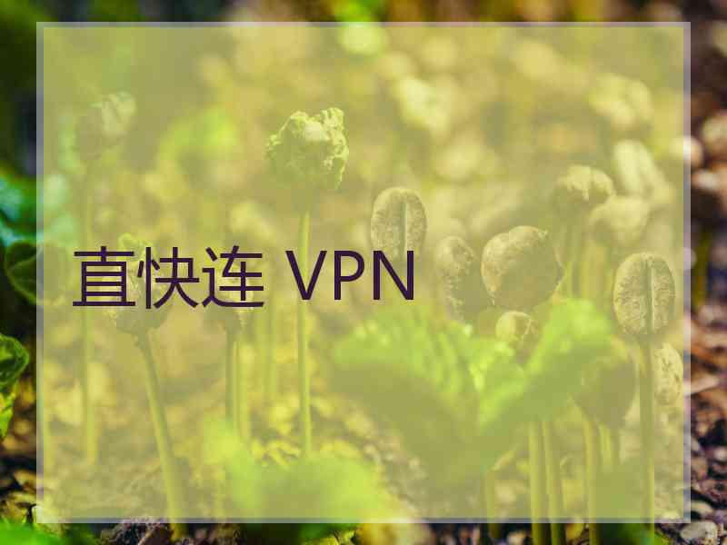 直快连 VPN