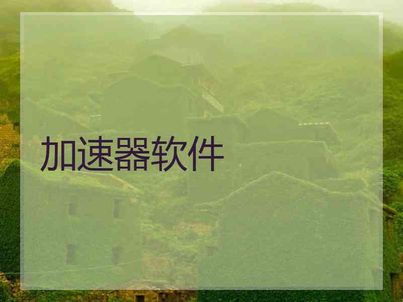 加速器软件