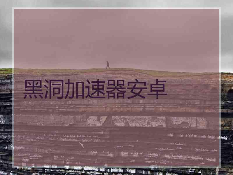 黑洞加速器安卓