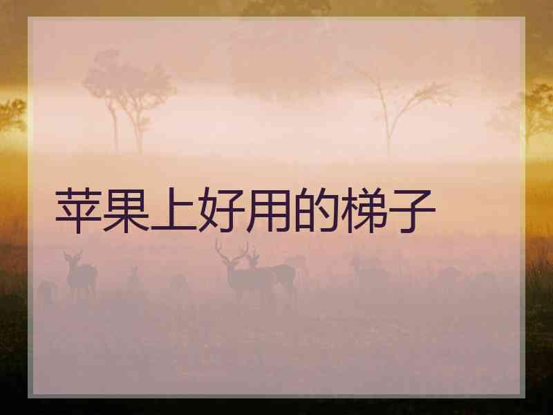 苹果上好用的梯子